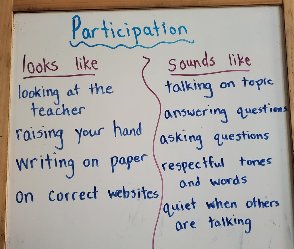 motivating students - participating looks like and sounds like